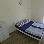 Zaric Vilă